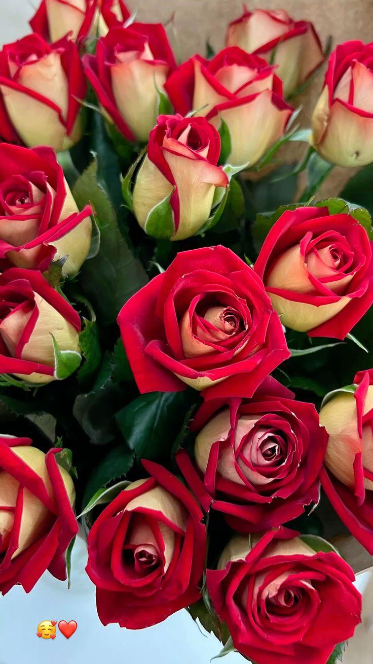 Corporate floral consultation example